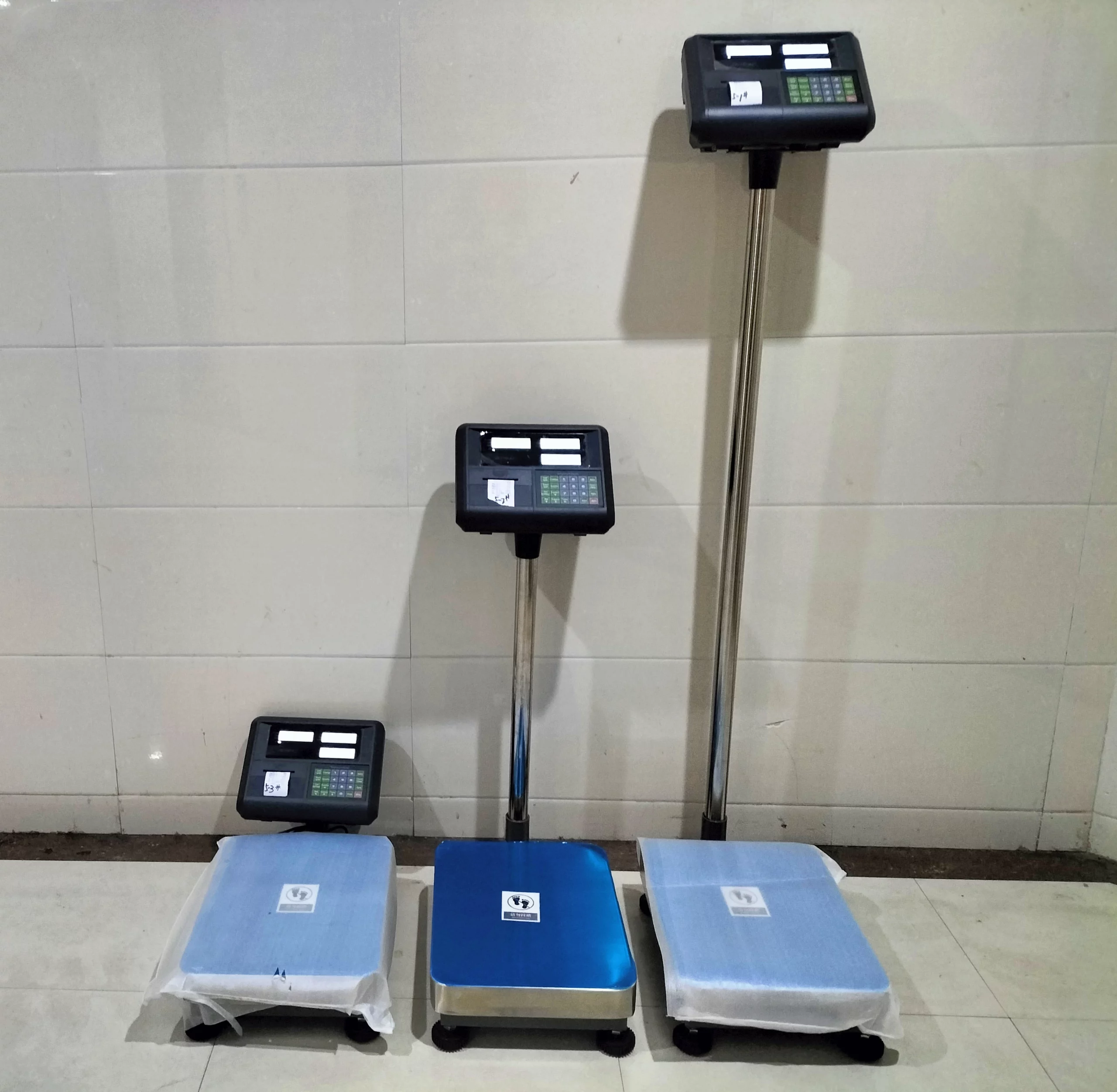 Electronic Weighing Platform Scale 2