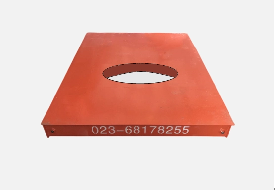 Automatic Weighing Control Electronic Scale1