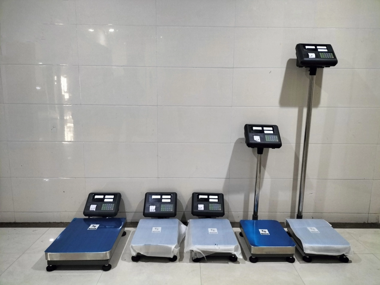 Electronic Weighing Platform Scale 1