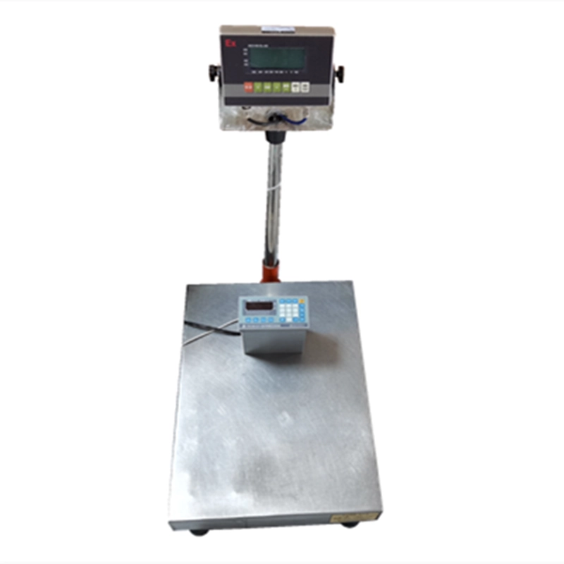 Explosion Proof Electronic Platform Scale5