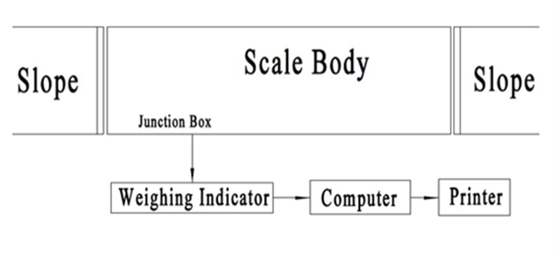 SCS electronic scale composition diagram