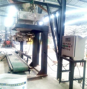 Quantitative Packaging Machine 3