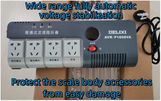 Plug in voltage regulator