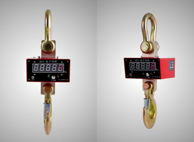 How to Choose Crane Scale for Your Business? 10 bincen crane scale