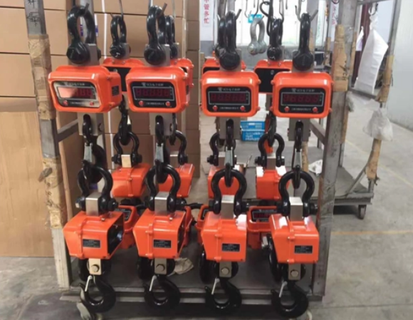 How to Choose Crane Scale for Your Business? 7 crane scale types
